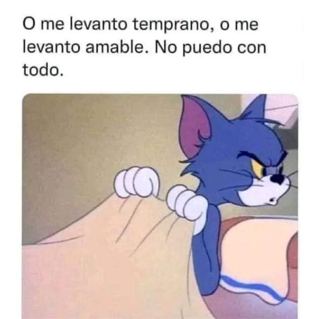 LaMejorCuernava's tweet photo. ¡Uno no hace milagros 😒!

#MemeLaMejor #LaMejorCuernavaca #AquíNomás #domingo #felízdomingo #amanecer #sueño #humor #depertar https://t.co/gVE4mNgH4Z