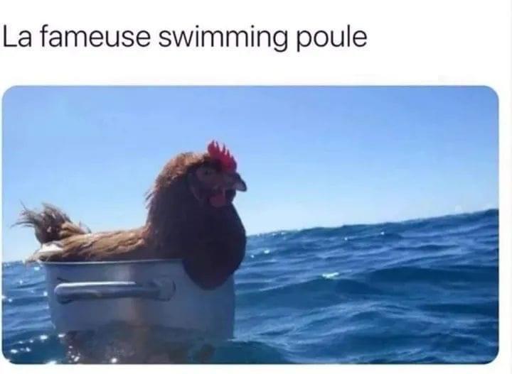 michel_denisot's tweet image. 