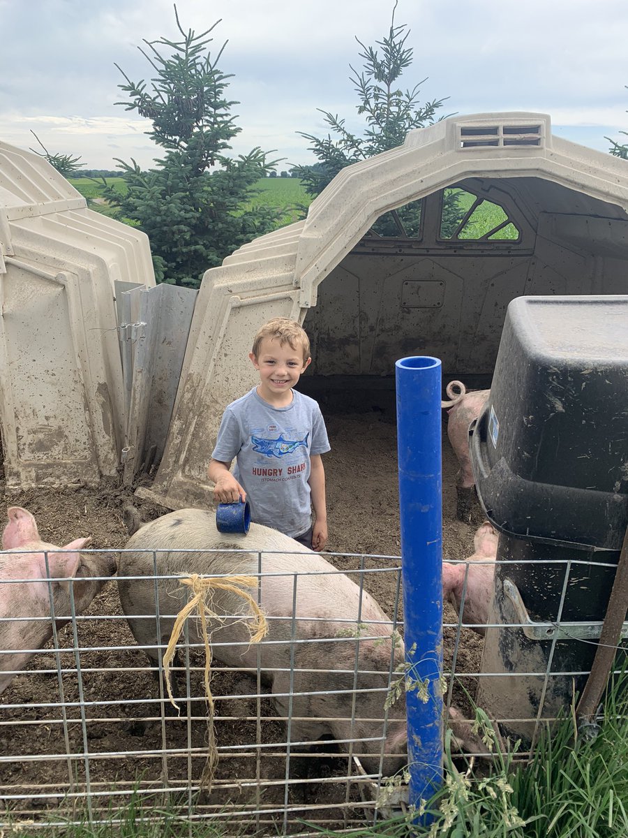 derek van dieten tweet media