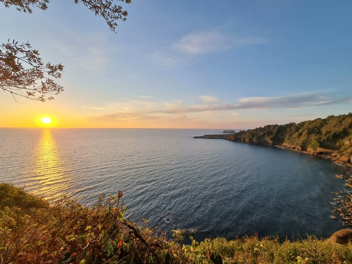 kerry2591's tweet photo. Sunrise walks ☀️ I will never get tired of living in Devon with views like this 😍

#devon #devonlife #southwestcoastpath #sunrise https://t.co/ylX6kDVN8f