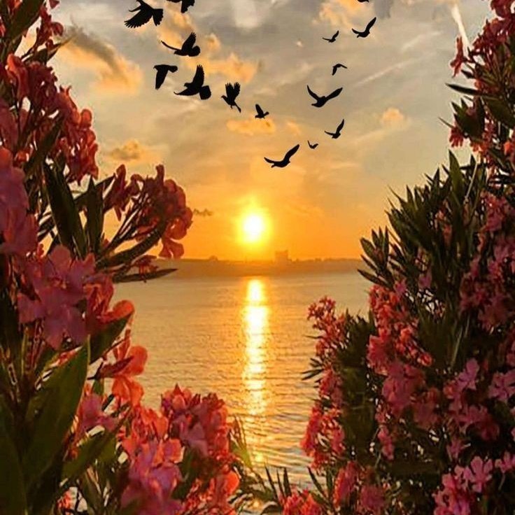 ADi30j's tweet photo. مصح الخير. من باريس. حفظكم الله. 
When you wish good for others, good things come back to you – this is the law of nature!

Always think good for all.
راشد
@Alisha5252 @Alfazz__ 
@Uk_8786 @ALIZEH__S 
@Luv_u_Zindgi @kf07b 
@Sumayya284 @__Eva04 
@khan__arzoo @Mussu1232 @Rani_986__ https://t.co/At4FbH42fD