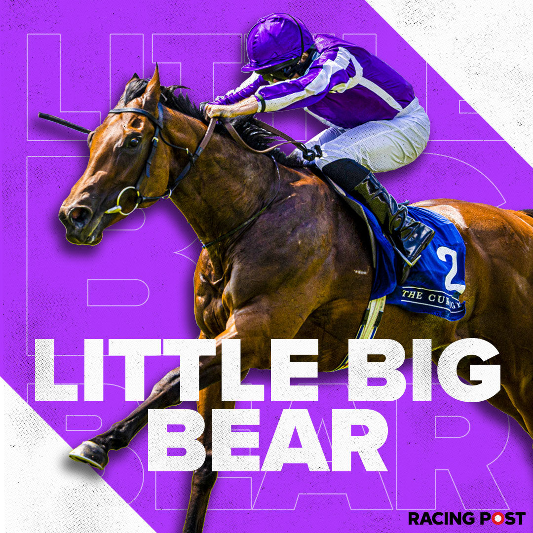@RacingPost's photo on Little Big Bear