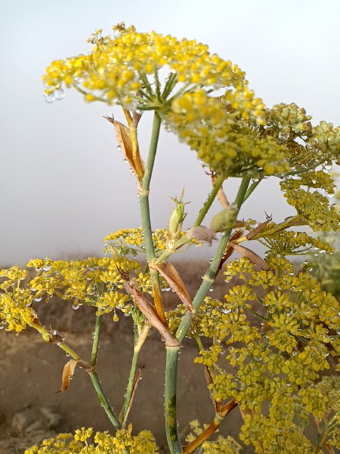 Zotero found #ethereum in a Blue vault at this location! Join me playing #coinhuntworld, It's awesome! coinhunt.gsc.im/5J21dL7Eku #cryptocurrency #2839193