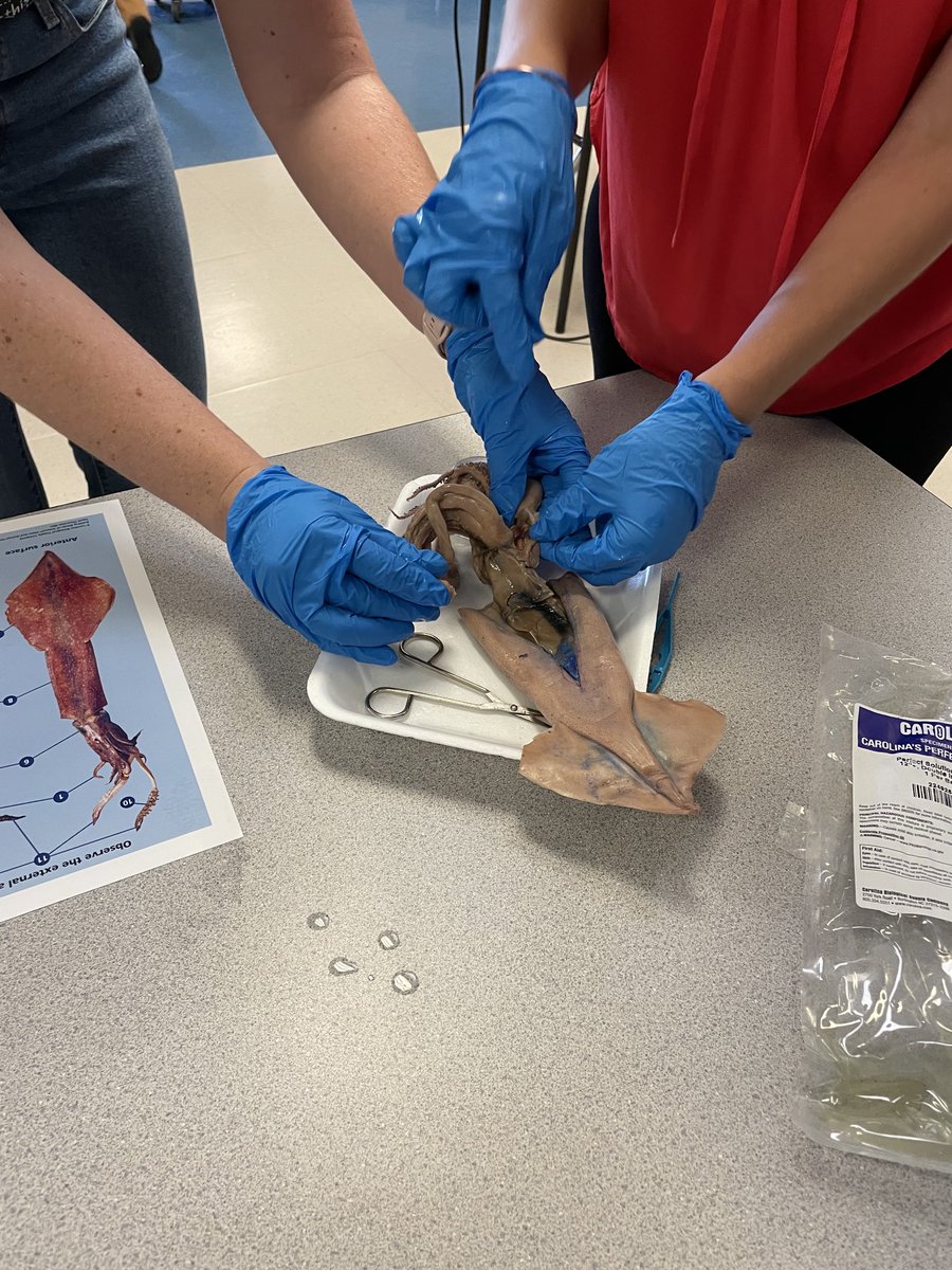 Chris Parson tweet media