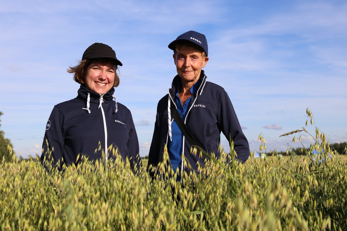 Suomalaisten kaurojen äiti Leena Pietilä <a href="/Boreal_fi/">Boreal</a> on nostanut kauralajikkeiden laadun ja sadon aivan uudelle tasolle 2000-luvulla ja tehnyt uskomattoman hienon elämäntyön. Hänen seuraajansa Hanna Haikka <a href="/HHaikka/">Hanna Haikka</a> on onneksi kovan tason osaaja hänkin. #kaura