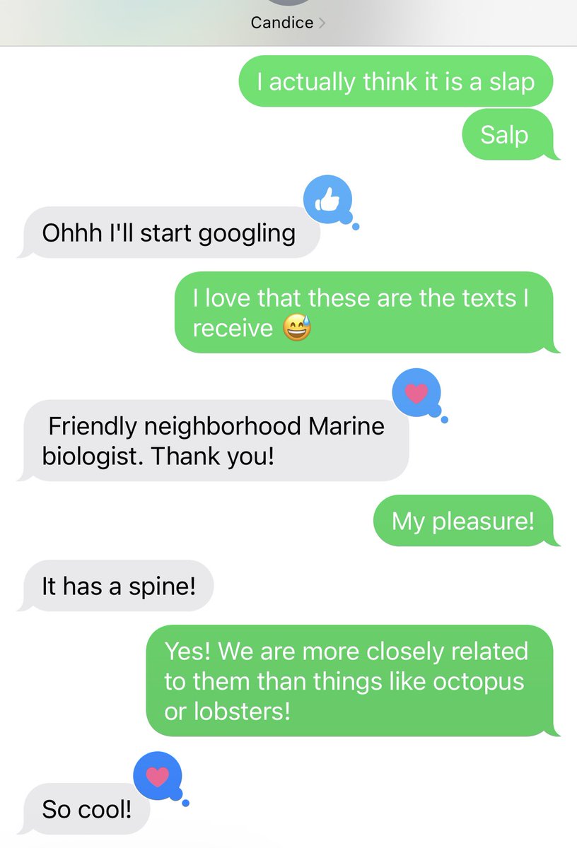 These are the texts I get. Everyone needs a marine biologist friend!