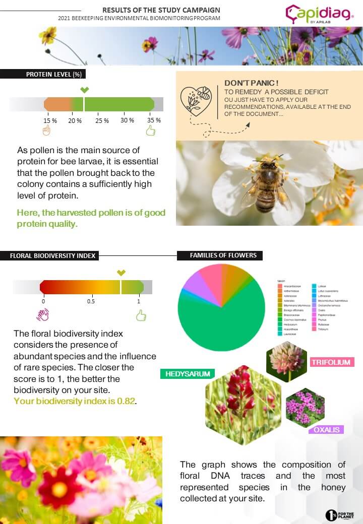 Assess biodiversity with #bees: the creation of flowered meadows and other natural spaces allows to support plants-pollinators networks. Impact of these actions, can be measured with honey #eDNA. apilab.fr/en/biodiversit…