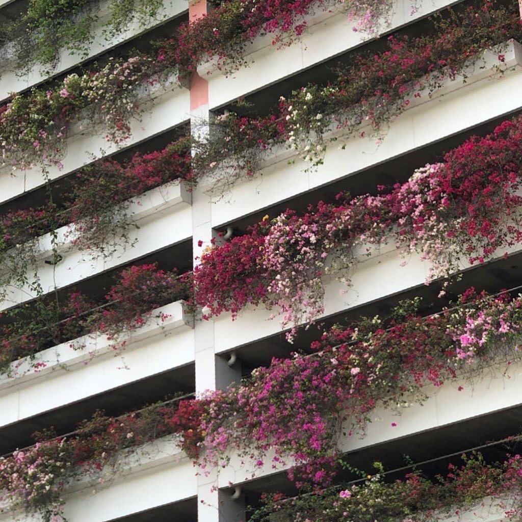 เป็นตึกจอดรถ ทำไมต้นไม้ต้องสวย