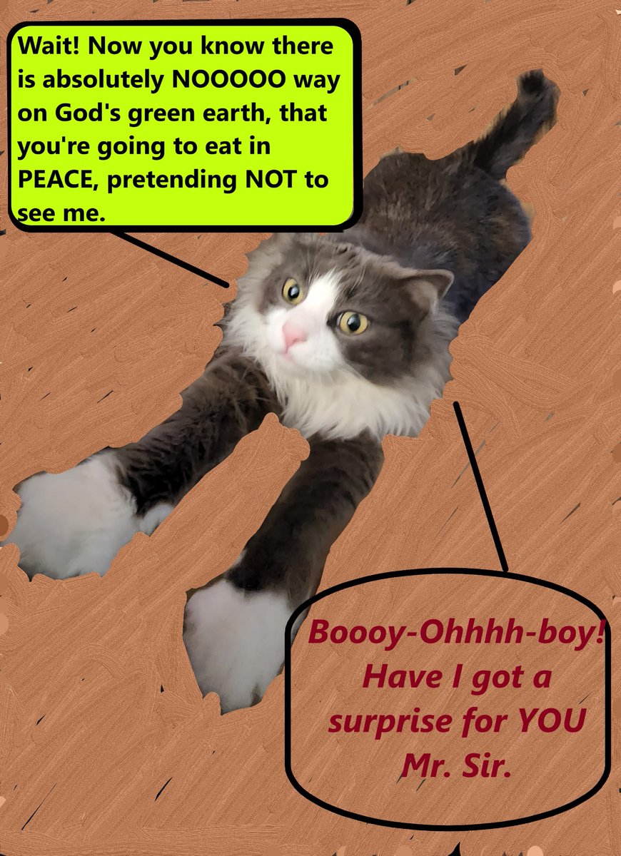 Asithink2's tweet photo. In "The Wild World of Wonk" I take readers inside my wife's Cat's world (hahaha). But that's mostly because I want to share with people his effects on me. This is Wonk...check out his blog:

https://t.co/emb4jKA1HH https://t.co/UVTt0ZW14A