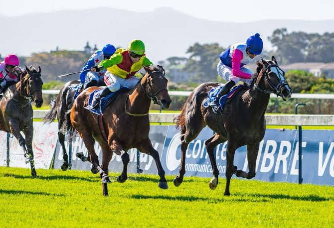 BONIKA joins the “club”. 
Thrilled with our first purchase to race in Cape Town! BONIKA was last seen winning the Listed Irridescence Stakes at Kenilworth… A stakes winning 2yo with a host of 3yo targets ahead of her this Cape Summer Season… She has joined <a href="/SnaithRacing/">Snaith Racing</a>