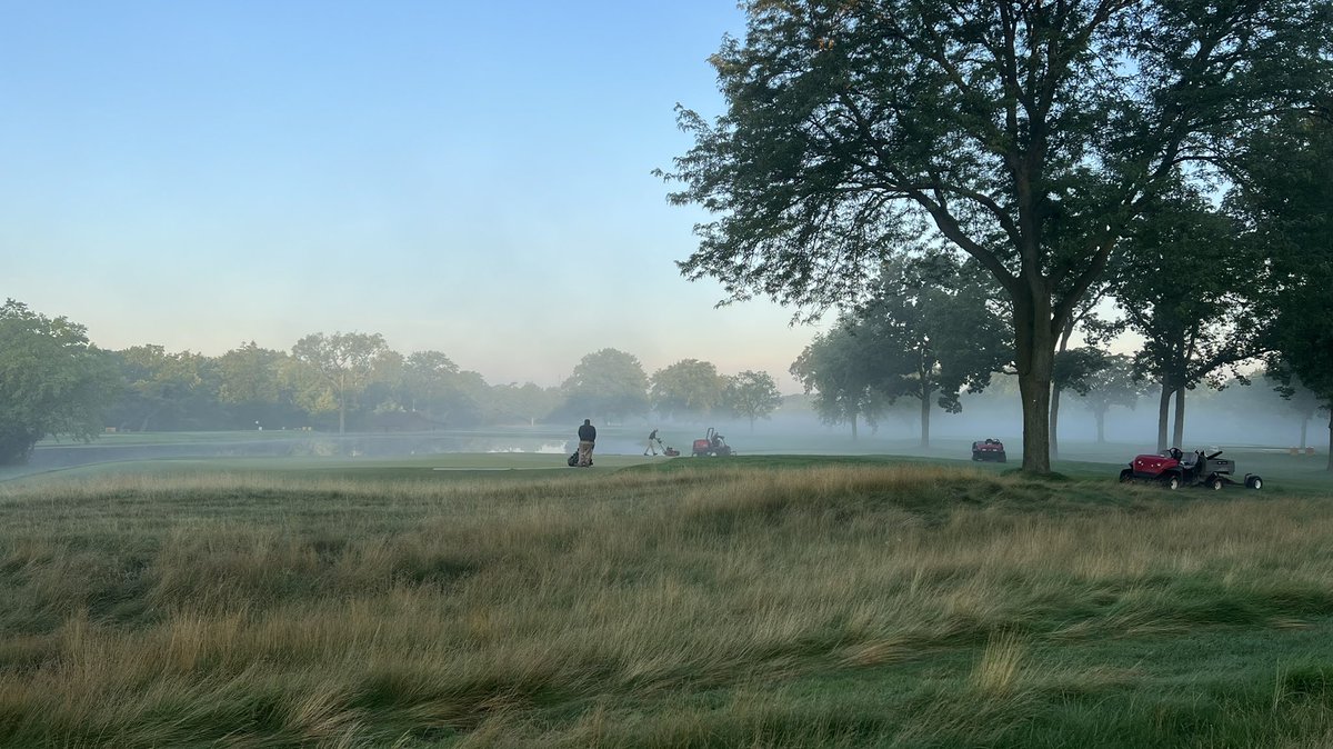 Tim Kelly tweet media