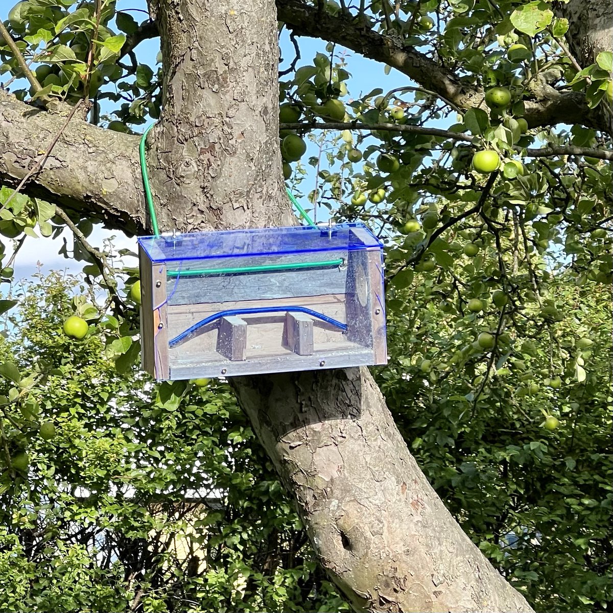 Jesper Lillesø tweet media