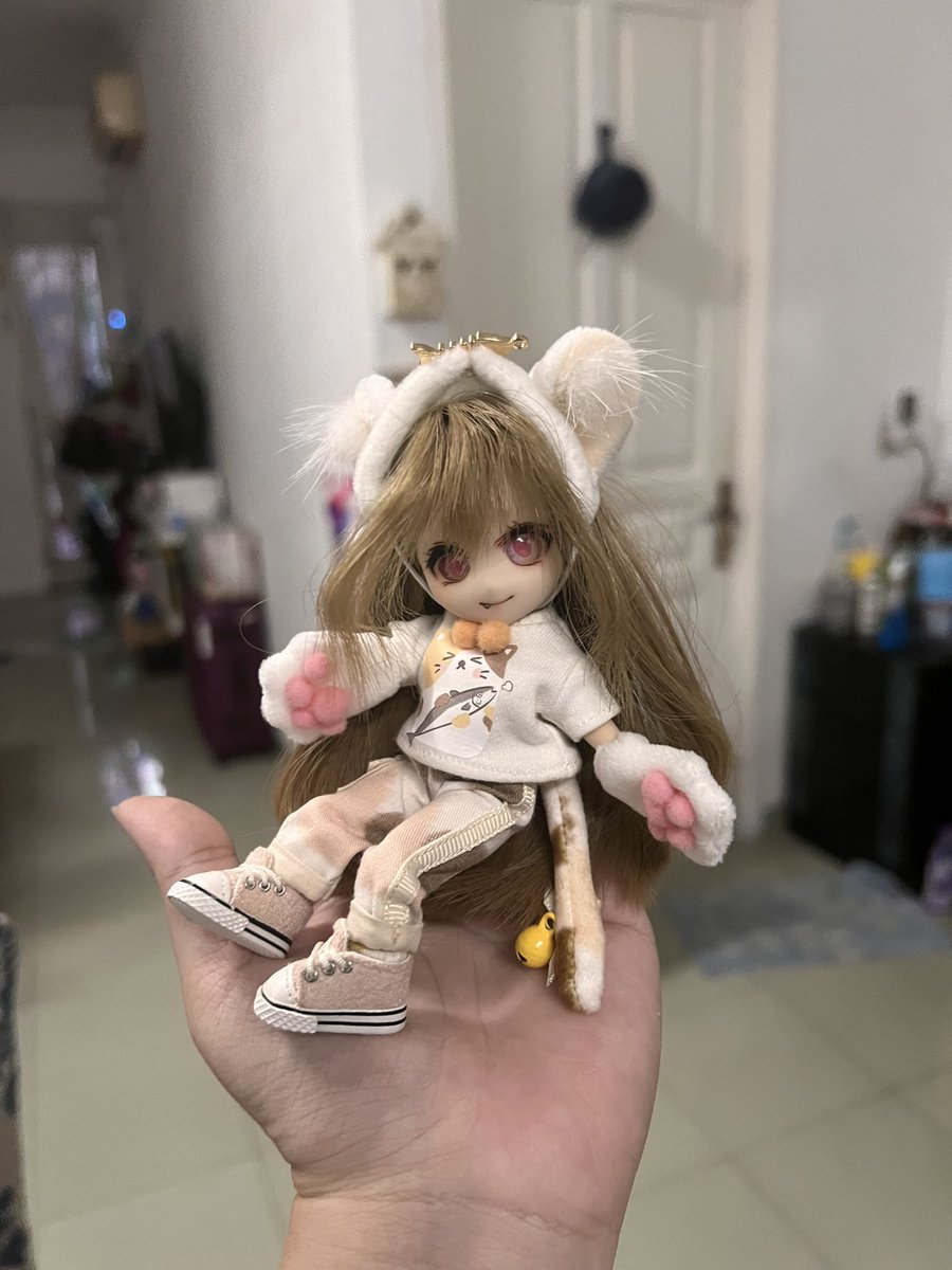 estethicca's tweet photo. 小さいカリ子猫baby❤️ https://t.co/MZC3zSDqxx