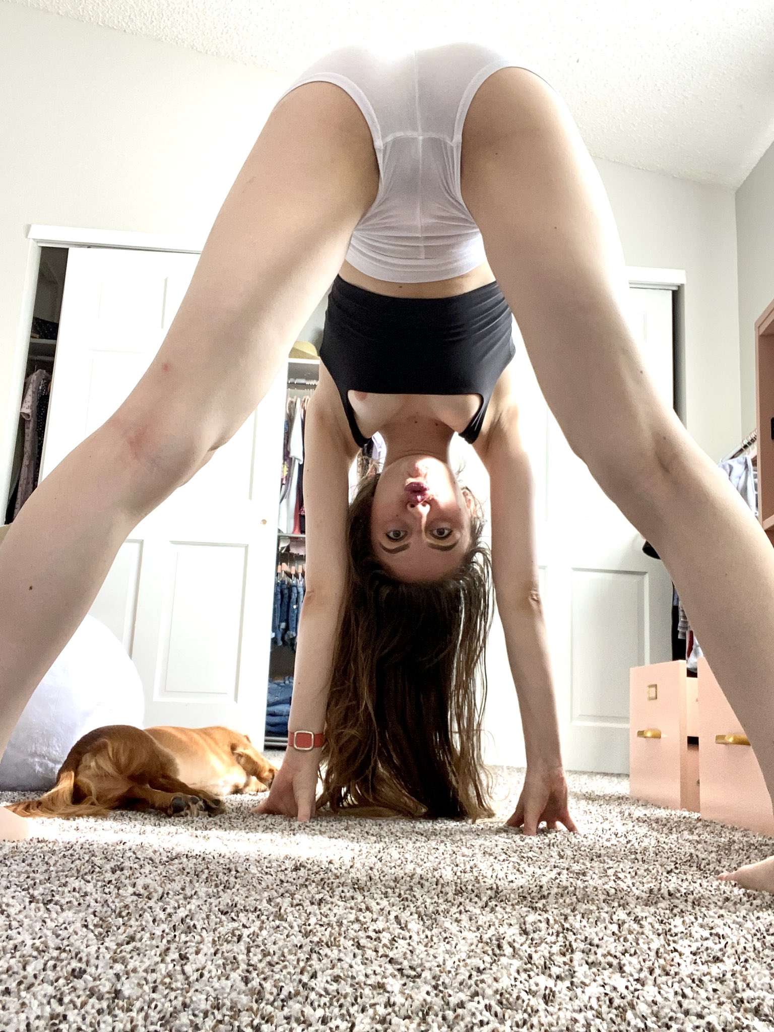 TW Pornstars - Jasleigh 🦋. Twitter. Thats a slip 🙊. 3:34 PM - 6 Aug 2022