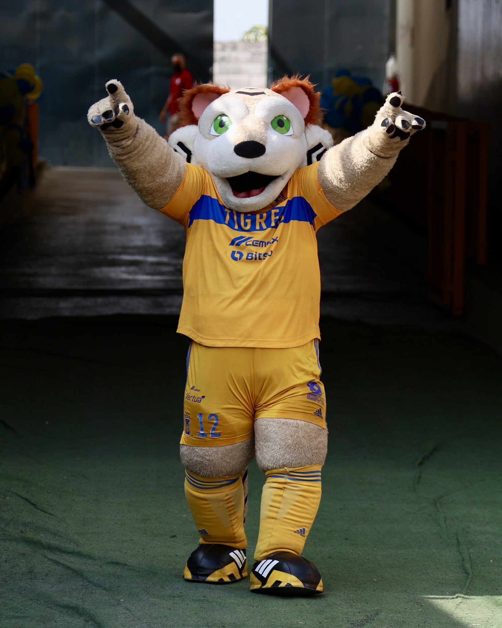 mascotas universitarias: tigres UANL