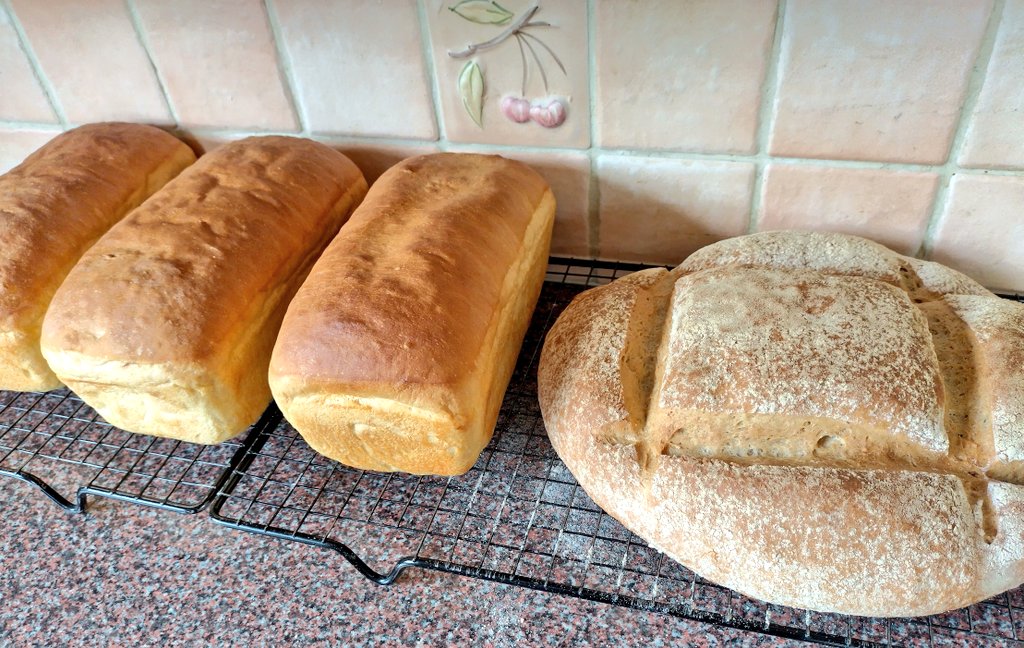 AnulasKitchen's tweet photo. Bread kind of a day 🍞🌱👌🏻🥰 It really isn't that difficult to bake your own bread 🍞 and most importantly -> you know exactly what's inside of it!!! 💪🏻 #bread #GoVegan #homebread #weekendbaking https://t.co/8qdzdaiCov