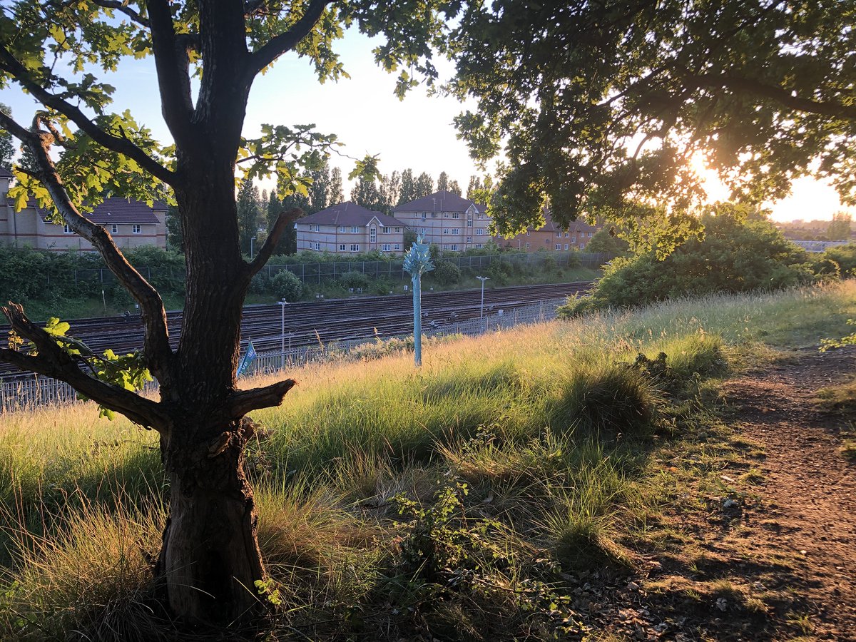 GroveParkNForum's tweet image. Check out the key consultation dates for the proposed Railway Children District Park design project. Please take a few minutes to complete the online consultation survey. Thank you  - mailchi.mp/b351628e1af8/p…