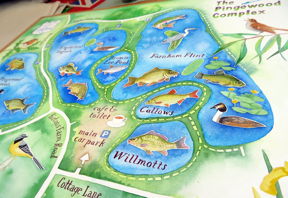 JaneSunflower's tweet photo. A perfect afternoon for a little lakeside #fishing & I'm working on my #handpainted #map of #Pingewood lakes, #Berkshire. The green background washes are bringing it all together.
#workinprogress #watercolour #angling #GetFishing #fishinguk #rdaa @AnglingTrust @ATFreshwater https://t.co/Fi466PTJsD