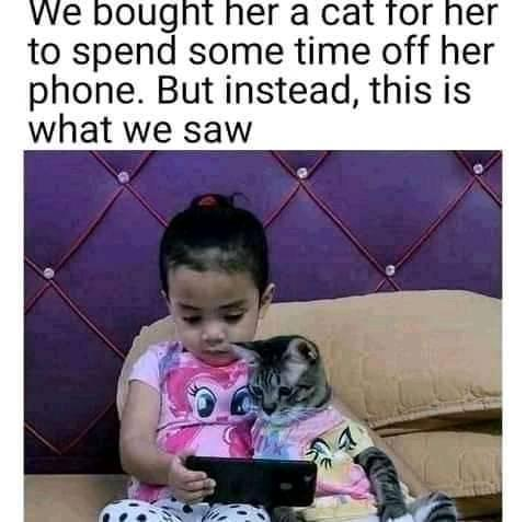 WholesomeMeme's tweet photo. https://t.co/Jp7SXDw8vz