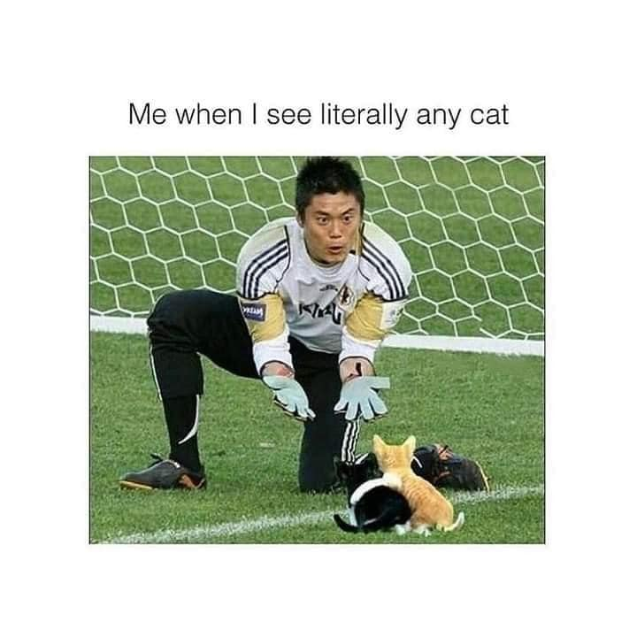 WholesomeMeme's tweet photo. https://t.co/SLvyGL1dpo