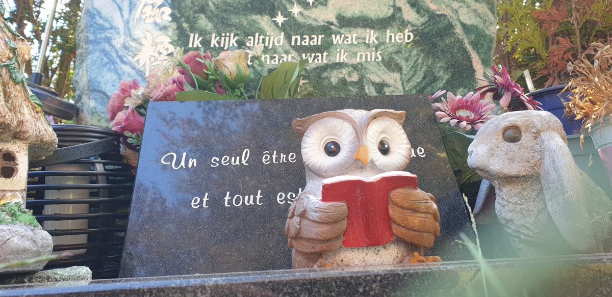 Over twee weken zou je een geweldige oom zijn geworden ♥️ #misjedoorzettingsvermogen (@ Begraafplaats Eikenhof) swarmapp.com/c/48AvXBNykWl