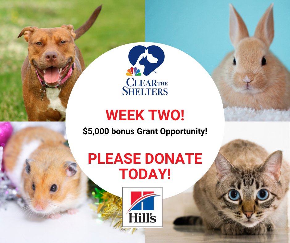 bmorehumane's tweet photo. #ClearTheShelters is here! @Hill's Pet Nutrition is matching all donations to our shelter, and we need your support! Donate now to help us save as many pets as possible: https://t.co/E42iYPNpKt
#bmorehumane #fortheanimals #HillsScience #BHS https://t.co/Yx5Nm2zFY3
