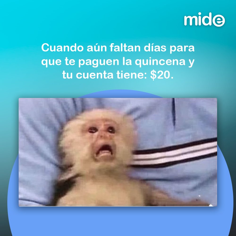 MuseoMIDE's tweet photo. En el MIDE puedes conseguir las herramientas necesarias para mejorar tus #finanzas 💰
Ven a visitarnos y compruébalo: https://t.co/GdSxukR9Xg
#VenAlMIDE #TuTiempoLoVale #quincena https://t.co/KetbxVgEnR