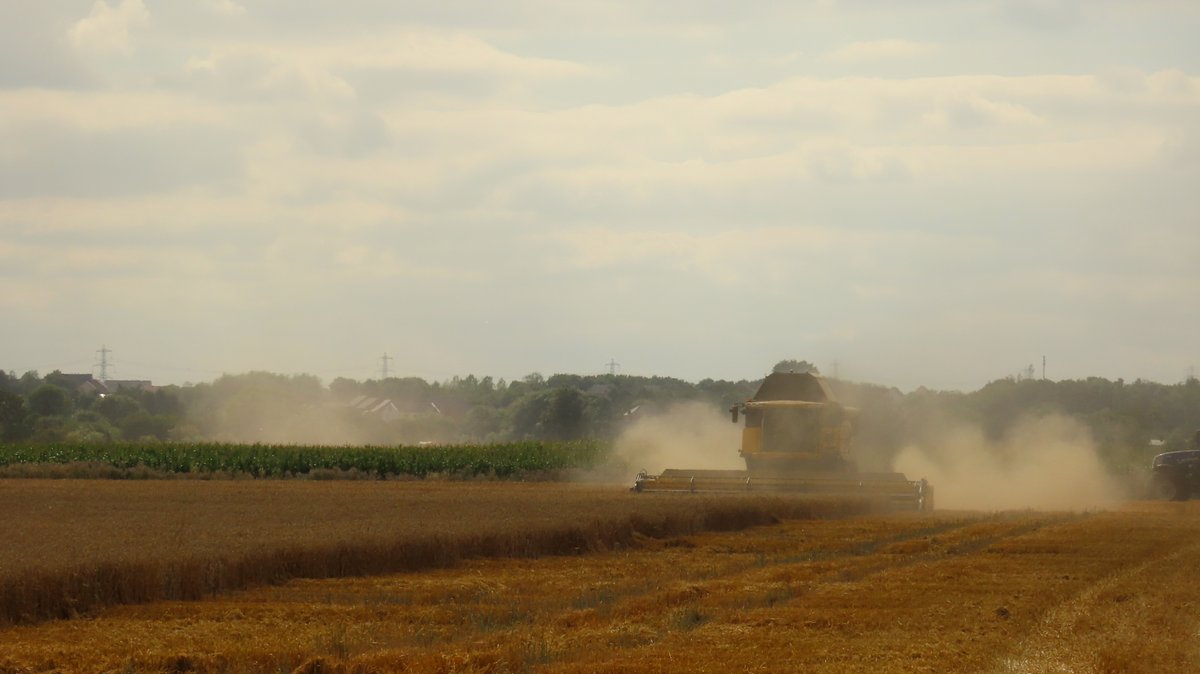 clive mitchell tweet media