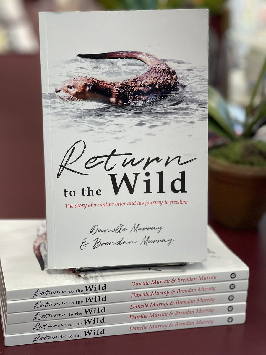 KimLovelady1's tweet photo. Went to @RainyDayBooks! Iβve been excitedly waiting to read this book written by @DanelleMurray_
published by @ArcanumPress Itβs the story of a rescued #otter, Lazarus, and a familyβs determination to rehabilitate him to help him #ReturntotheWild. π₯°π¦¦π
#conservation books https://t.co/UclvdsvG7z