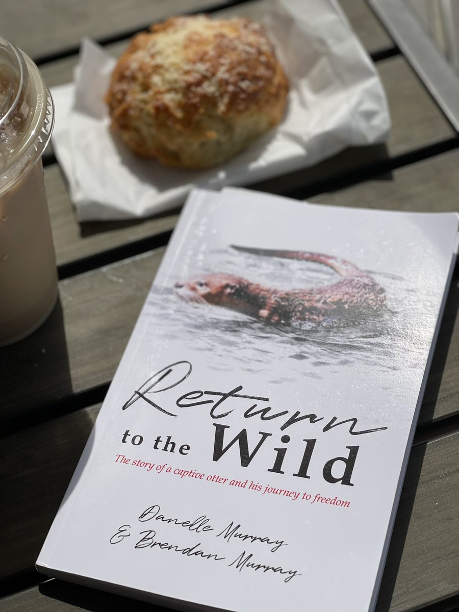KimLovelady1's tweet photo. Went to @RainyDayBooks! Iβve been excitedly waiting to read this book written by @DanelleMurray_
published by @ArcanumPress Itβs the story of a rescued #otter, Lazarus, and a familyβs determination to rehabilitate him to help him #ReturntotheWild. π₯°π¦¦π
#conservation books https://t.co/UclvdsvG7z