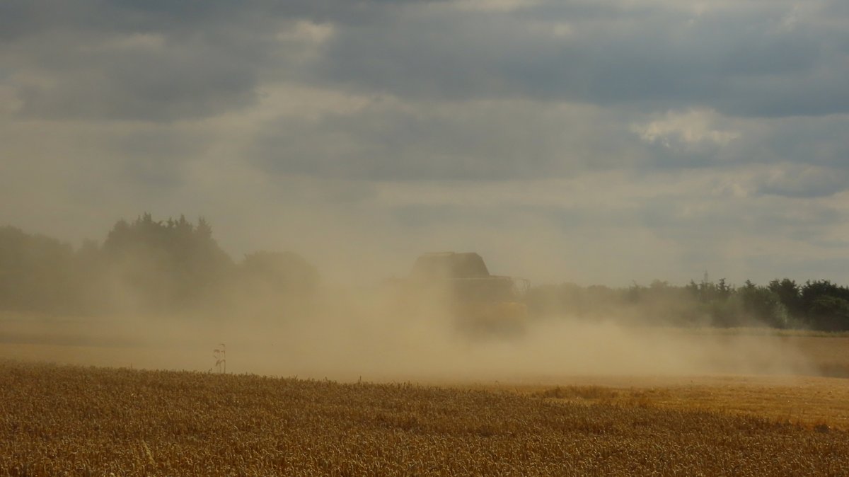 clive mitchell tweet media