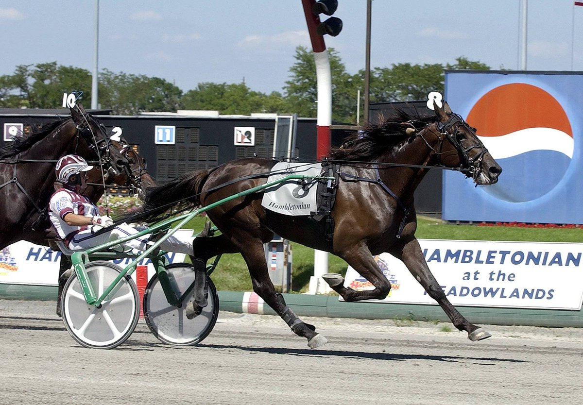 AmericaHipismo's tweet photo. 📢 Destacadas de #TheMeadowlands Harness 6/8

🏇 #12 - $500,000 (Hambletonian Oaks)
🏇 #13 - $355,000 (Jim Doherty Memorial)
🏇 #15 - $1,000,000 (Hambletonian No. 97 - Final)

Software Hípicas, solicite su demo aquí
👉 https://t.co/aBOsP5VEBX

#hipismo #software #hipicas https://t.co/DGuZYC83gG
