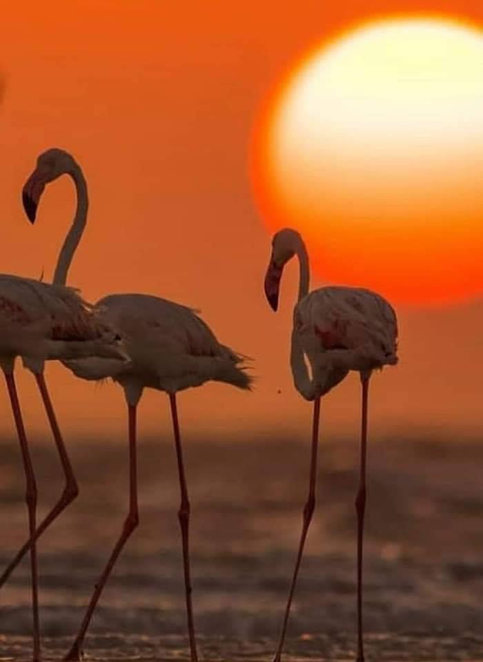 𝔦∂ΙЄGO (@drc_19) on Twitter photo 