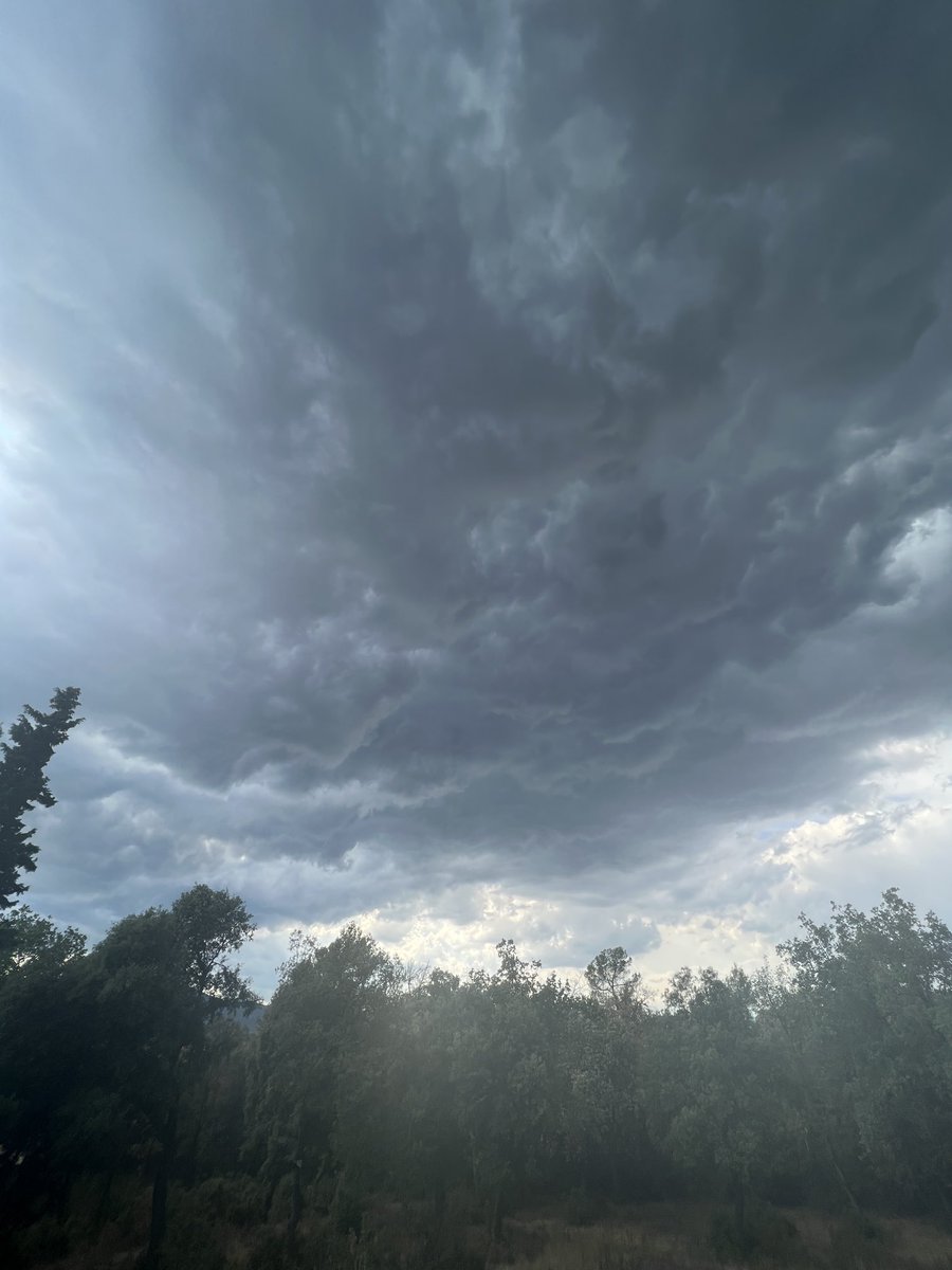 Judith Anton tweet media