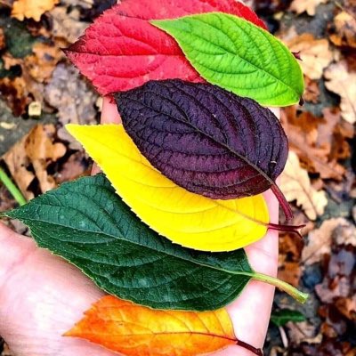 nakther03's tweet photo. #NewProfilePic https://t.co/5egUUknN1o