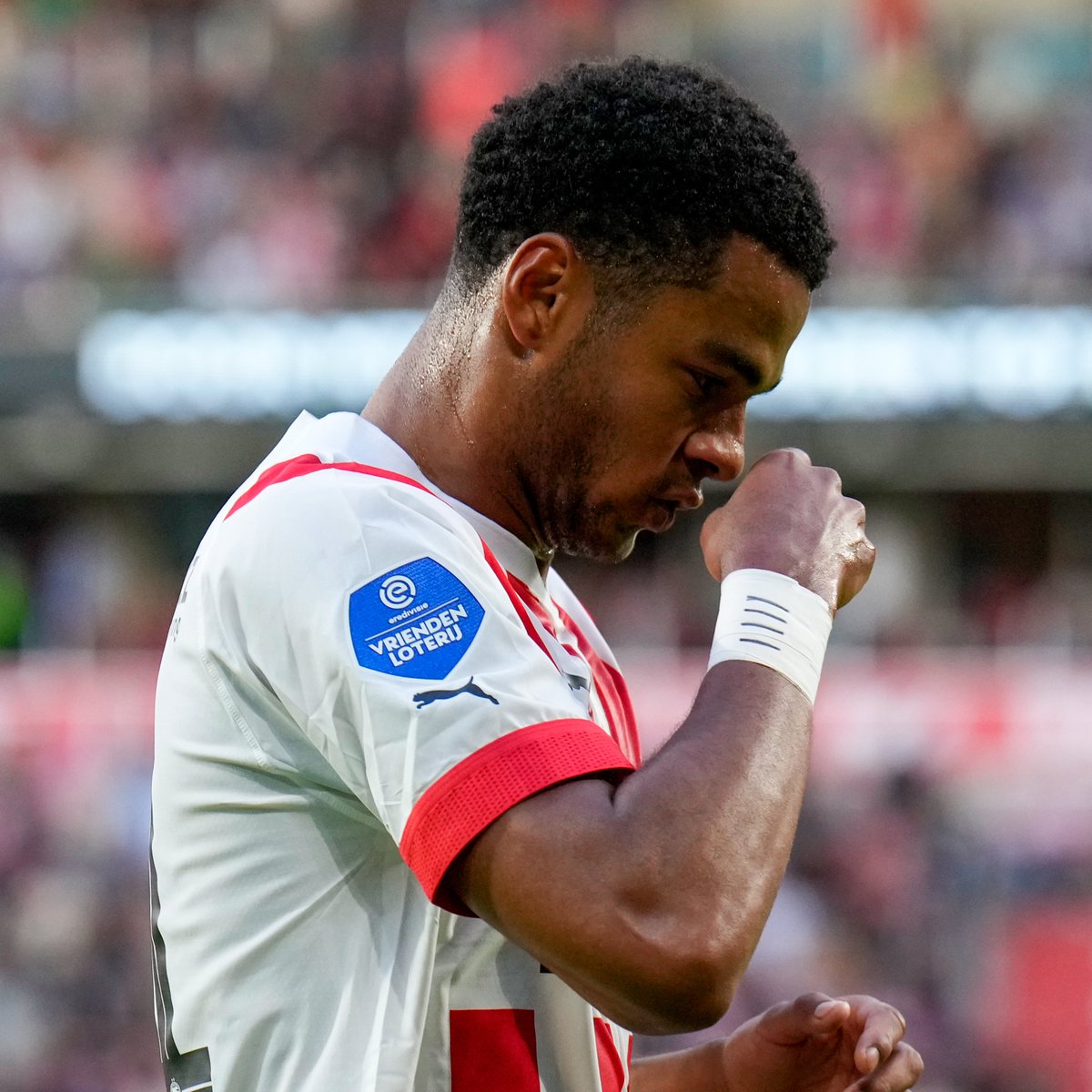 PSV's tweet photo. RT if you love Cody Gakpo 🫶

#PSVEMM https://t.co/6qsJQpThpF