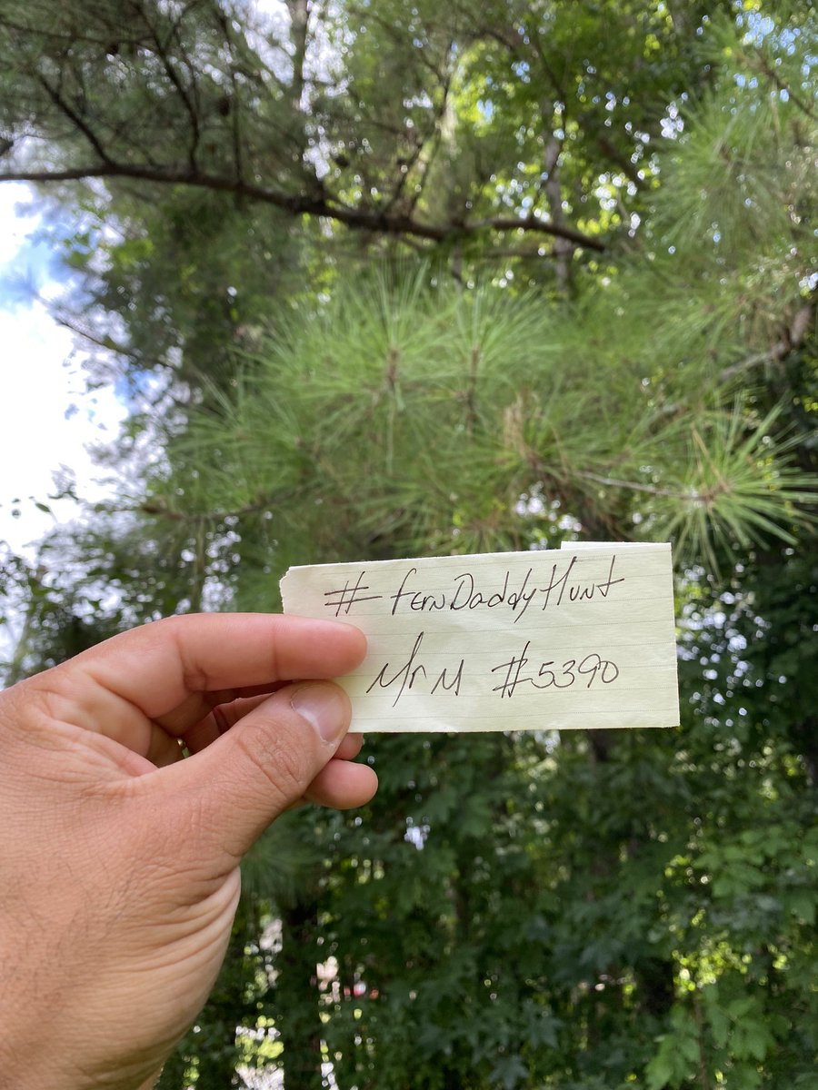 theDRGQ's tweet photo. Who wants pines trees for the I’ll share some of mines no problem @GRMI_Studios another item for this #FernDaddyHunt let’s get it #FernDaddy https://t.co/AfpZBa3E8J