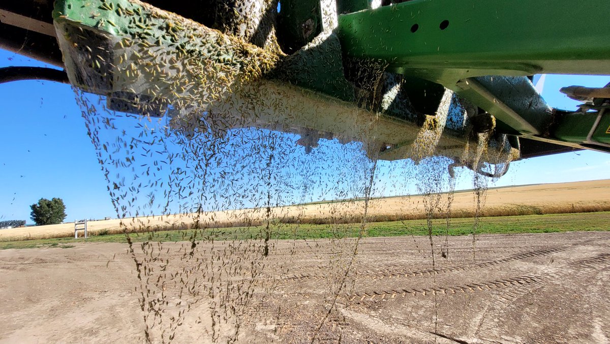 Ryan Thurston 🇨🇦🚜 tweet media