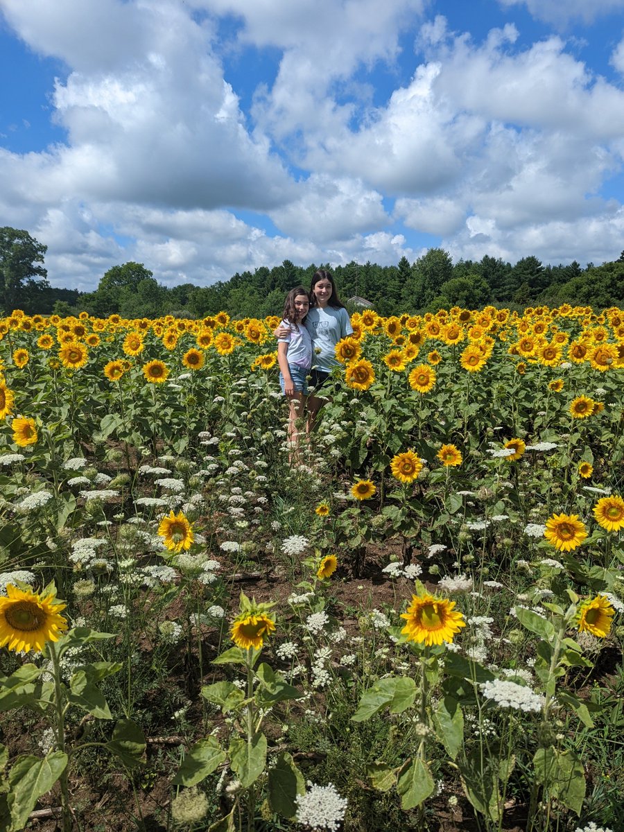 CanadianGirl_82's tweet photo. @jcurtis7ac @LFPress @MikeatLFPress @stegh_cares Thank you Jay! We had a great time remembering my dad, who passed from cancer in 2019, in your sunflower field today. ❤️ #sunflowerpower https://t.co/QP2qNmwcDE