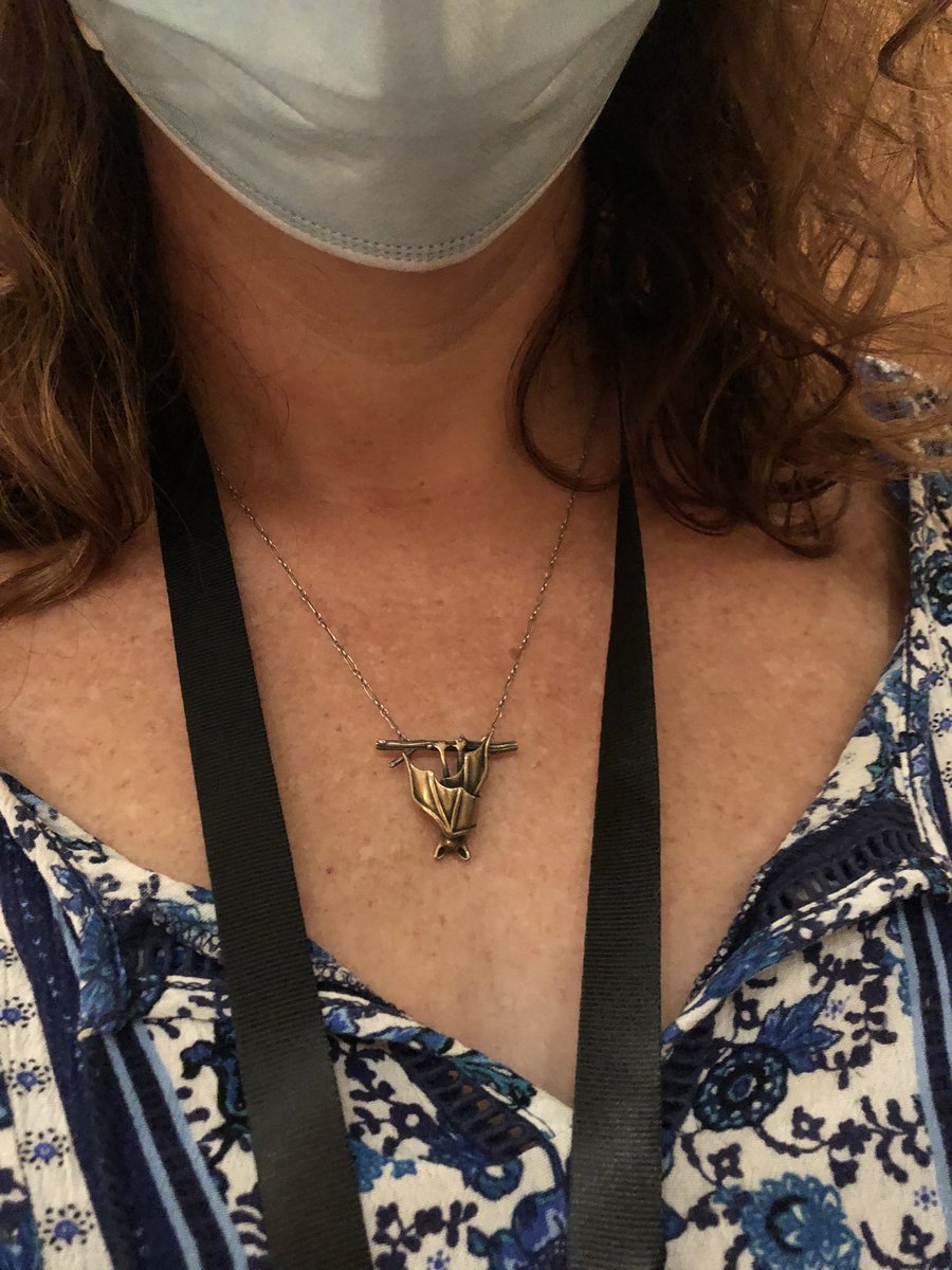 dechmannlab's tweet photo. could @GlobalBatNet be synonymous with #batnerd? A small selection! 🦇❤️🤓@theresalaverty @RachaelCooBoh https://t.co/uH6KDgiTqq