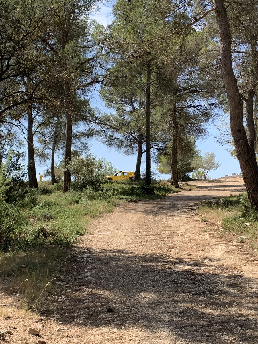 Mireia Bosca tweet media