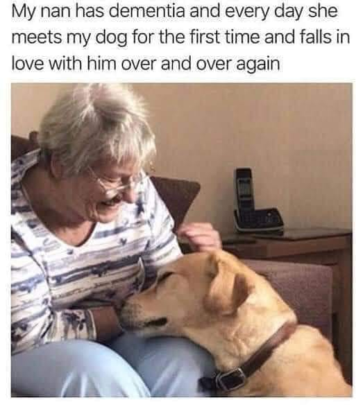 WholesomeMeme tweet picture