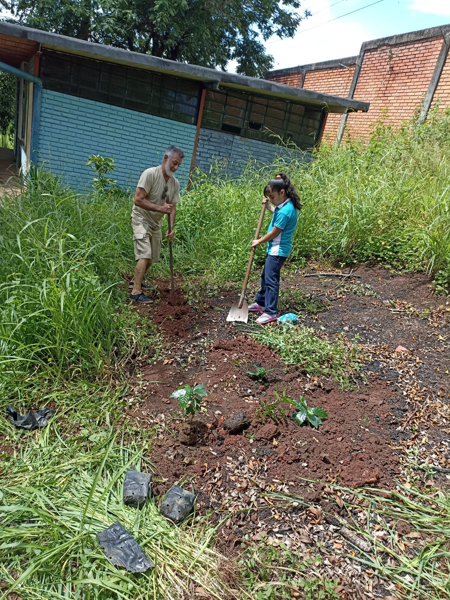 Siembra de 4 plantas de cafe de 4, 4 de plantas de limón, 10 platnas de sábila por parte del  Sr. Pedro vecino de la comunidad y su nieta 🙏