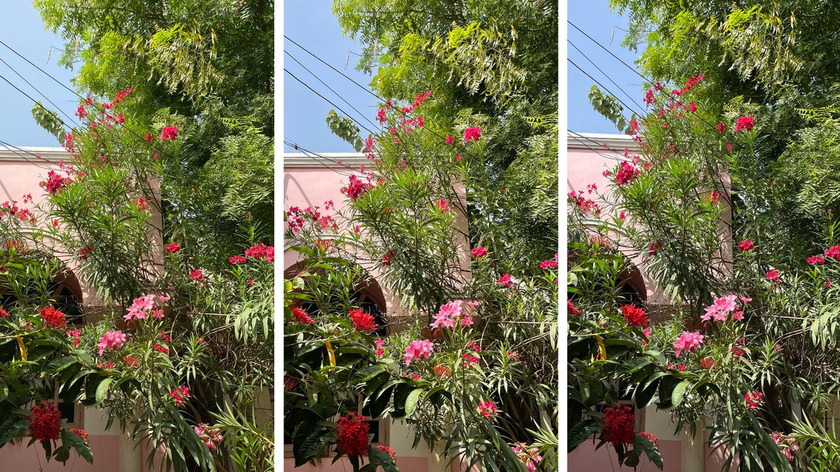 TechApps_Tamil's tweet photo. Can you guess which iPhone?π§π§π§
#iPhone13 #iPhone12 #iPhone11
#TechAppsTamil #Apple #iPhoneCameraTest
@Siva_Bharani @GiriSonnaSeri @iRobinPro https://t.co/c0yqMr9W36
