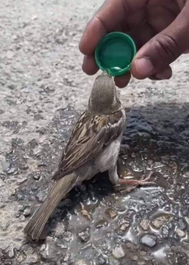 Lameigalameiga1's tweet image. Estas cosas me hacen sentir feliz...