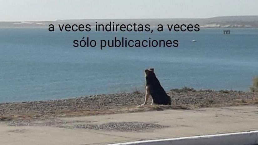 perritos_qctd's tweet photo. https://t.co/2zwwZWQfRH