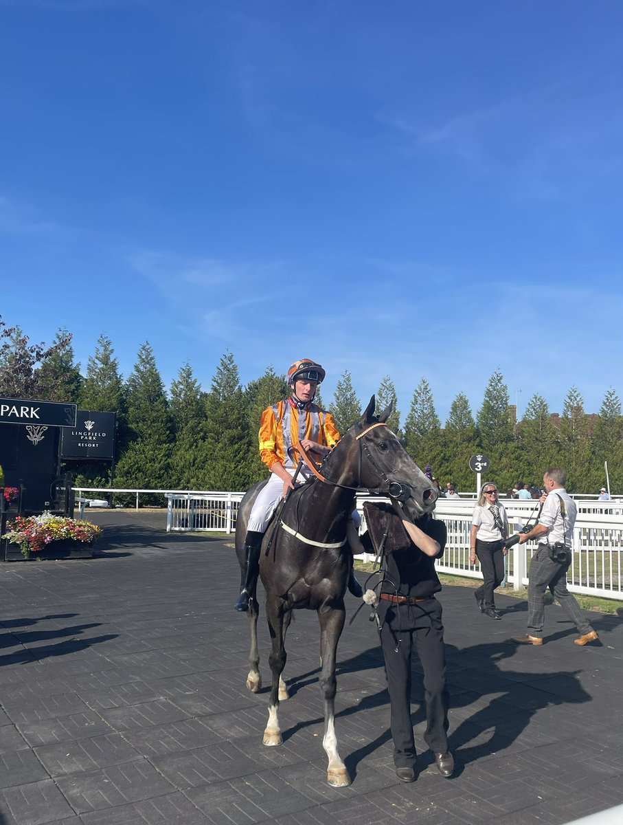 ianwilliamsraci's tweet image. A first win for the Dark Angel filly, Alwajd for Smart Trax Ltd who got off the mark in the @RacingLeagueUK on @SkySportsRacing Handicap @LingfieldPark under Ben Sanderson 🏆🍾 #SaturdayWinner 

👉 bit.ly/30sz3Oy