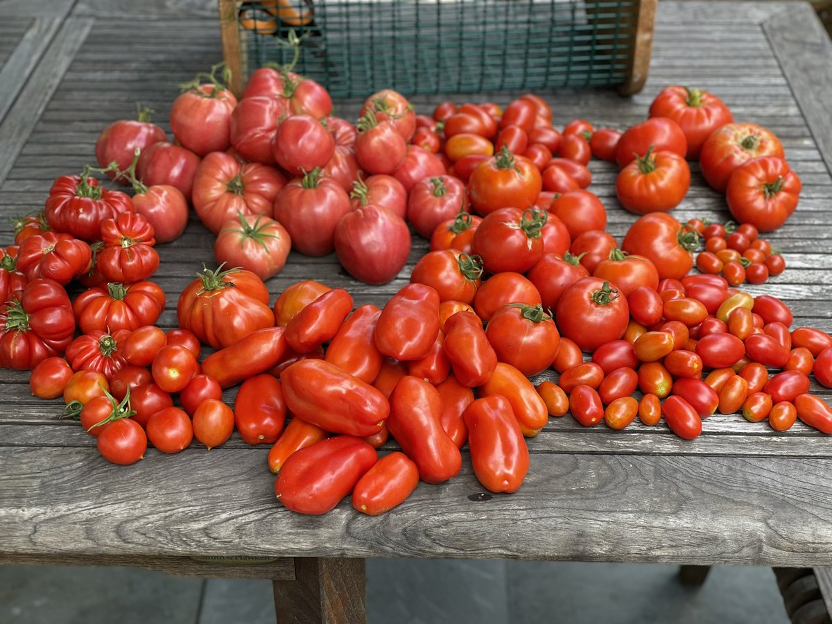 You say tomato, I say pomodoro