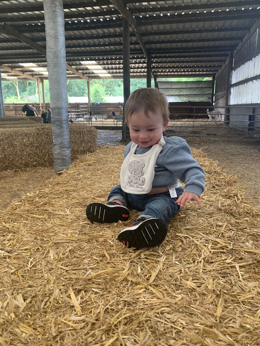 Spent a family afternoon out at petting farm then went on a boat ride and dinosaur fun house, lucifer wasn’t sure what to do when he saw a dinosaur 🤣🤣
