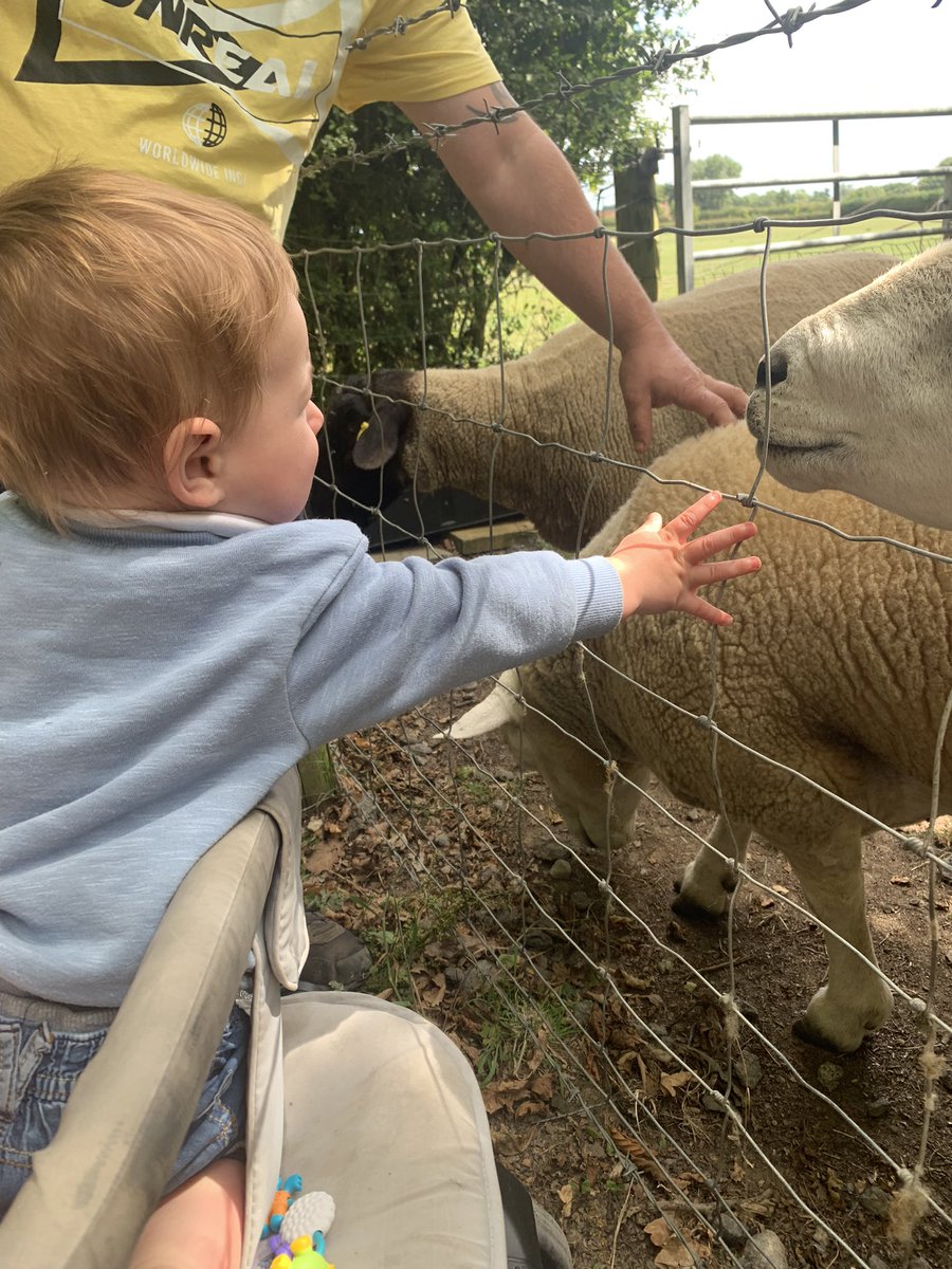 CarrieMReeve's tweet photo. Spent a family afternoon out at petting farm then went on a boat ride and dinosaur fun house, lucifer wasn’t sure what to do when he saw a dinosaur 🤣🤣 https://t.co/M994zLV7eV
